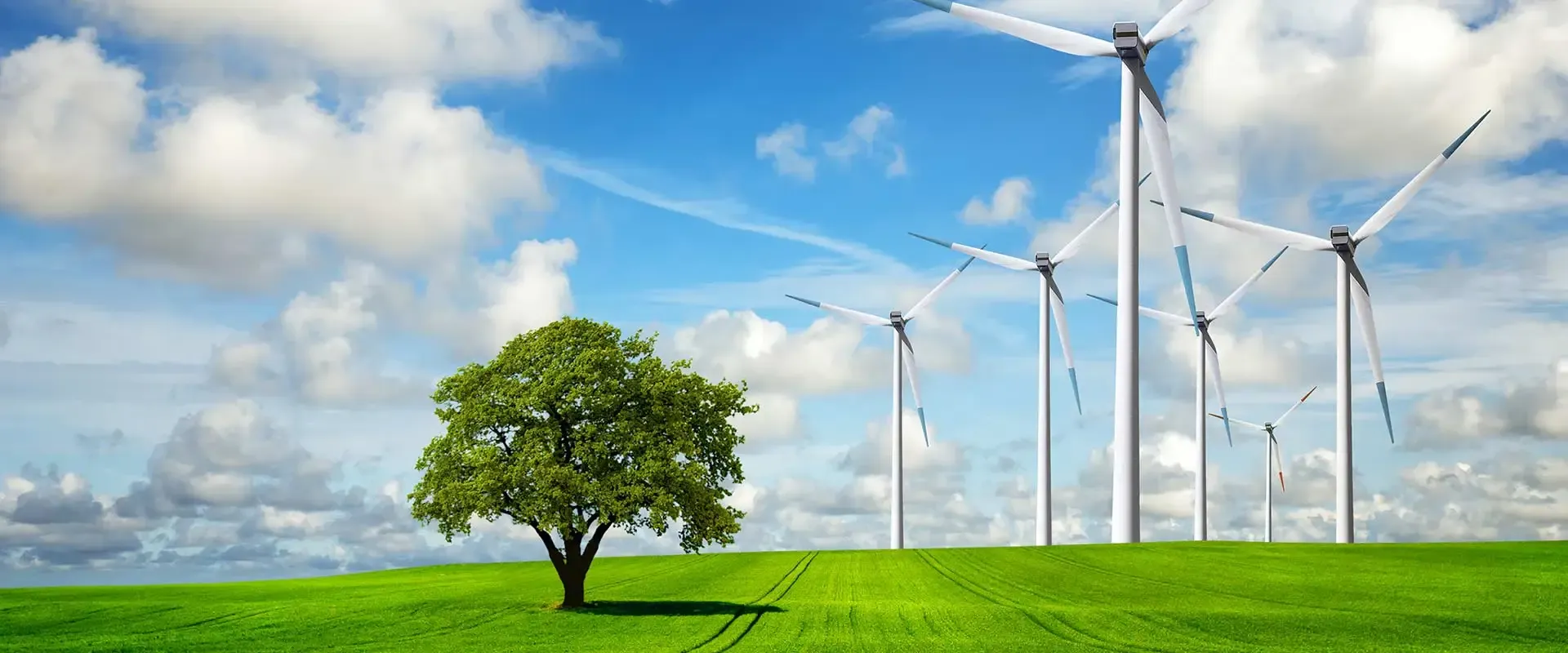 Çevre Danışmanlığı Ve Atık Yönetimi